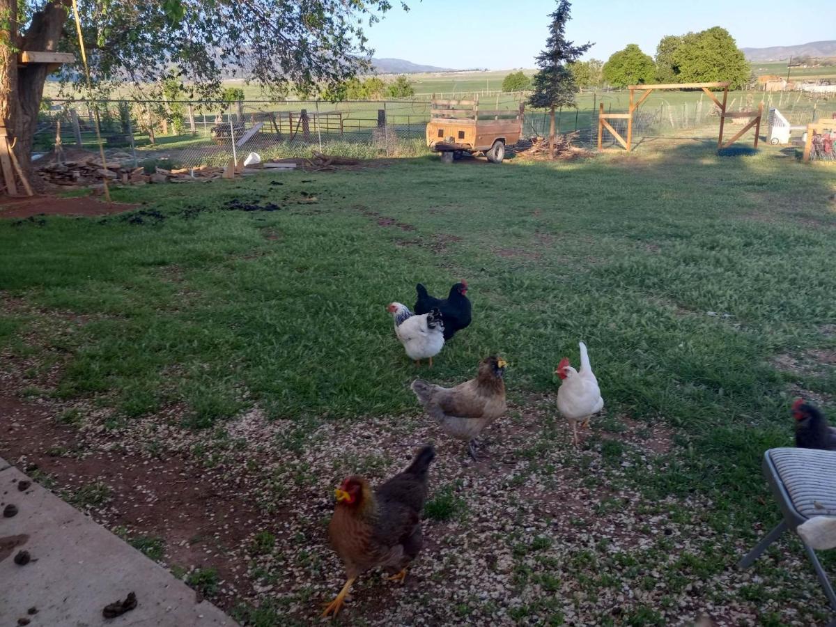 Parowan Red Creek Inn And Farm מראה חיצוני תמונה