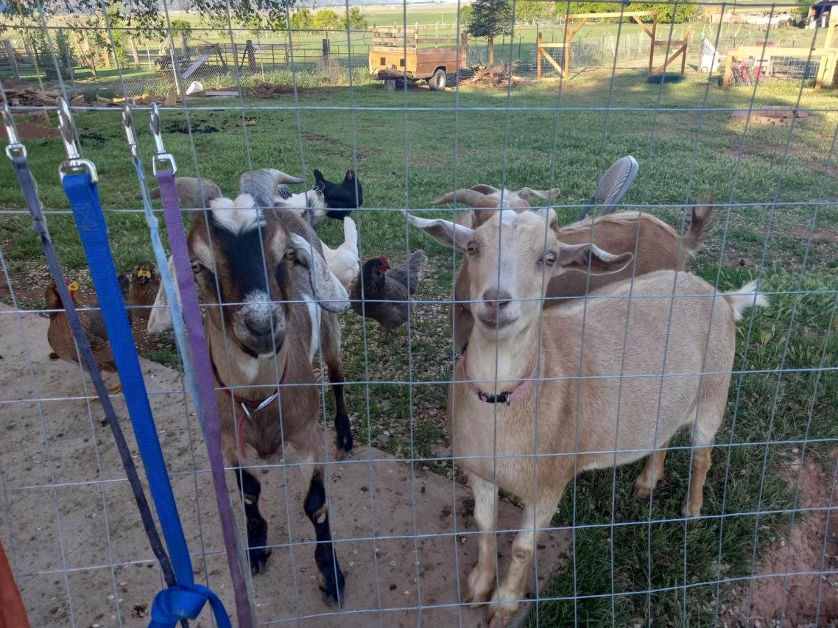 Parowan Red Creek Inn And Farm מראה חיצוני תמונה